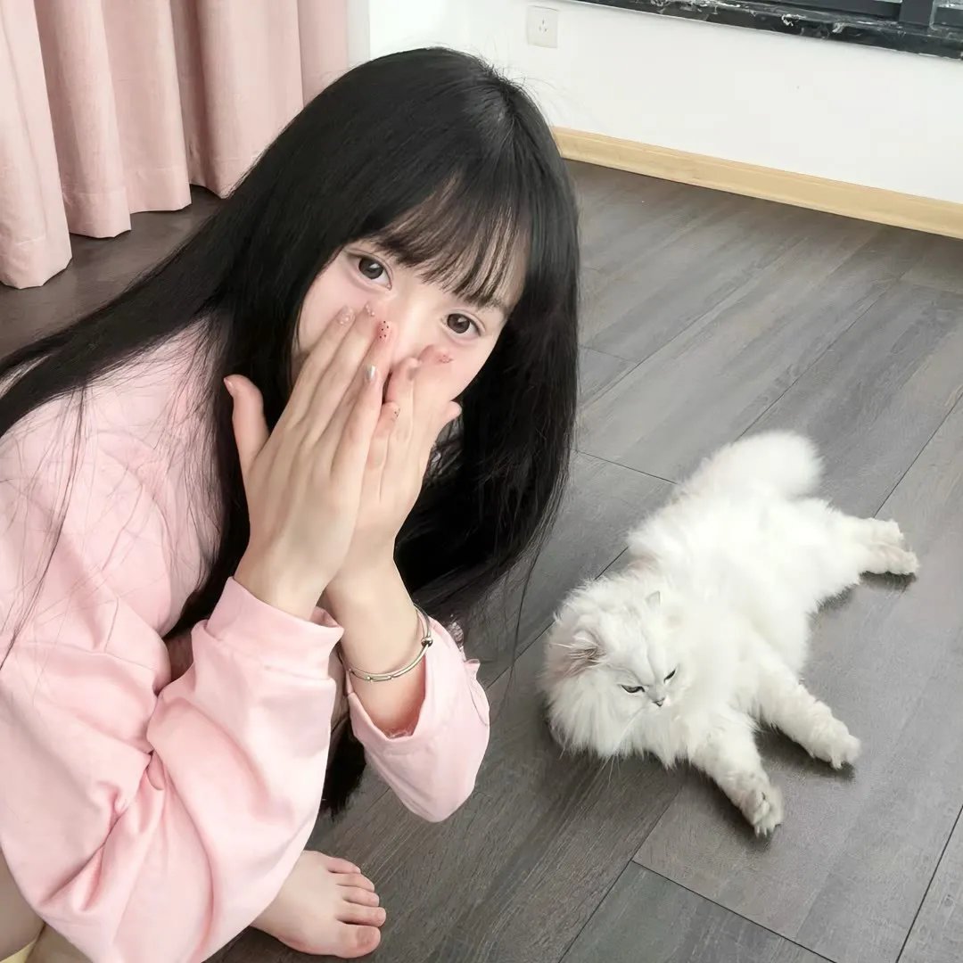 搜索救援队