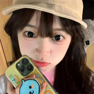 29片棕榈叶